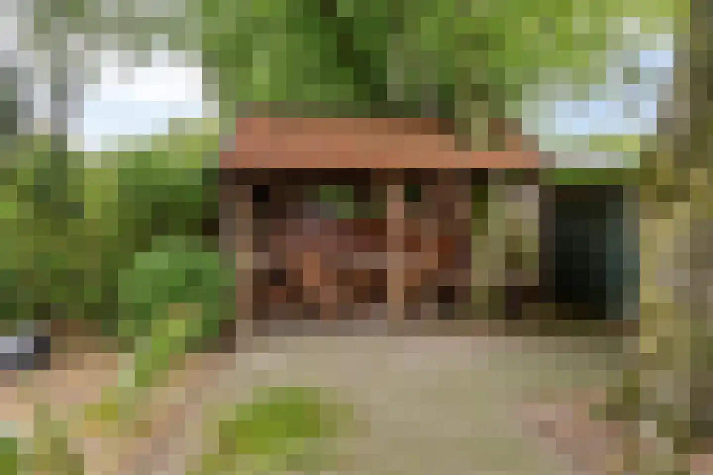 Pastoor Thijssenlaan 8 a Sterksel thumbnail 55