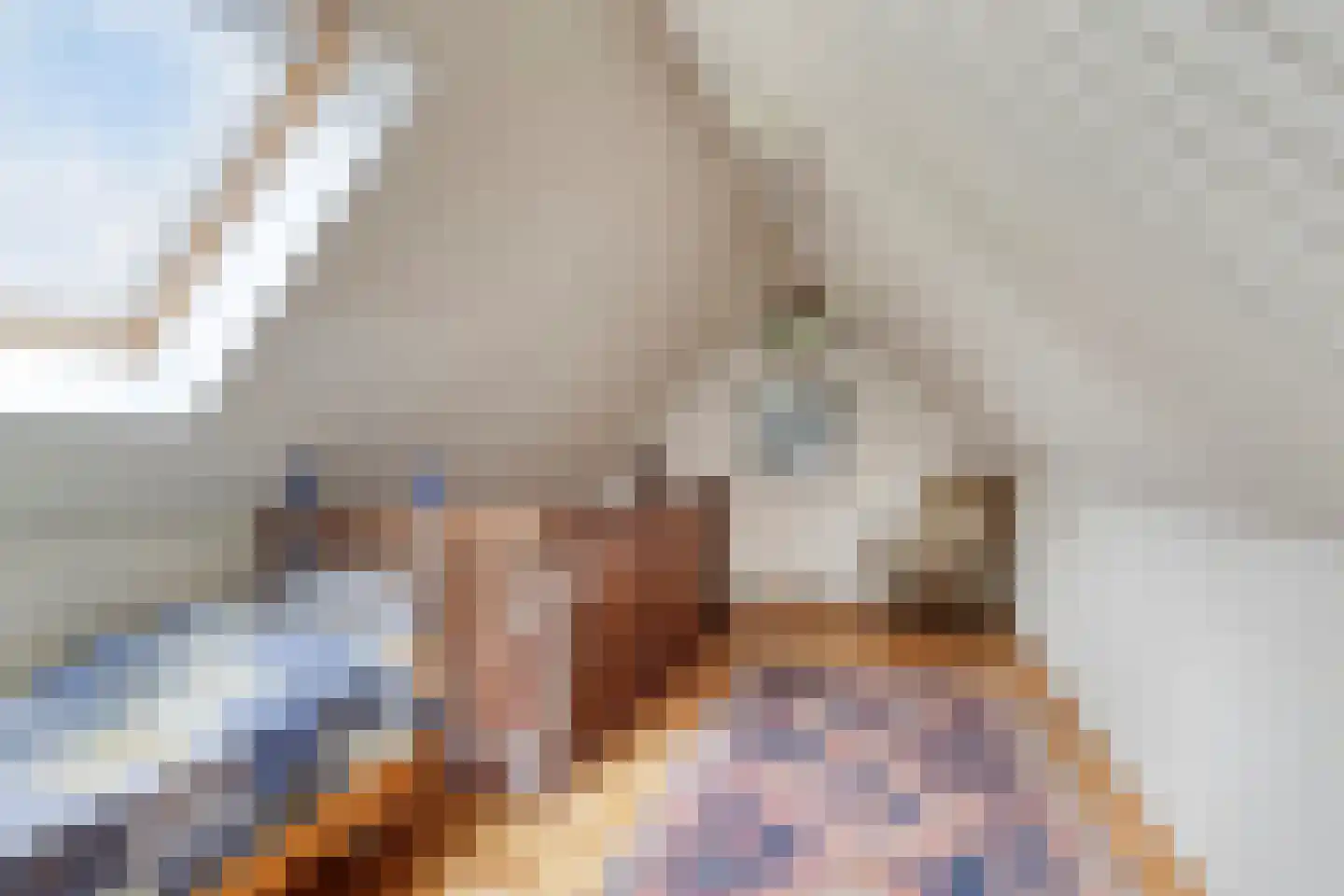 Pastoor Thijssenlaan 8 a Sterksel thumbnail 55
