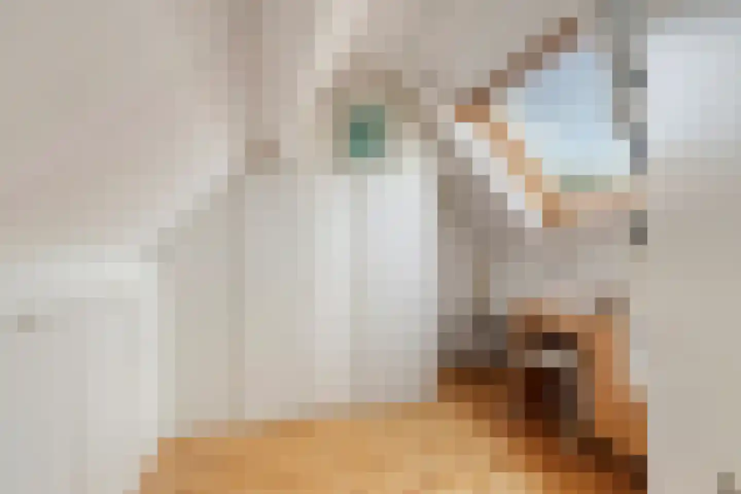 Pastoor Thijssenlaan 8 a Sterksel thumbnail 56