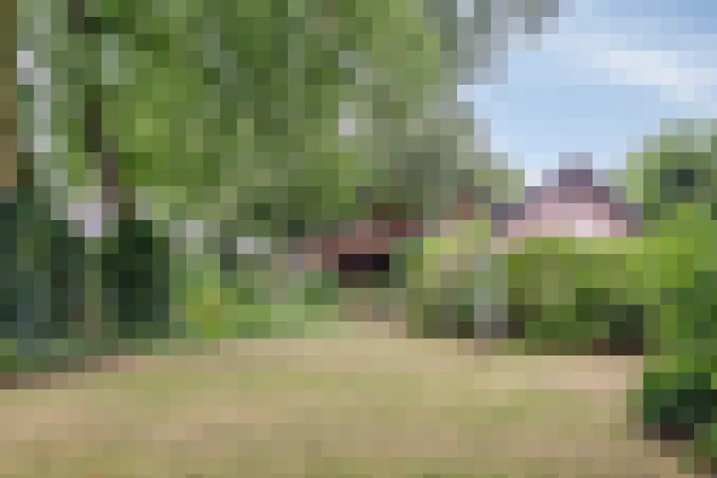 Pastoor Thijssenlaan 8 a Sterksel thumbnail 57