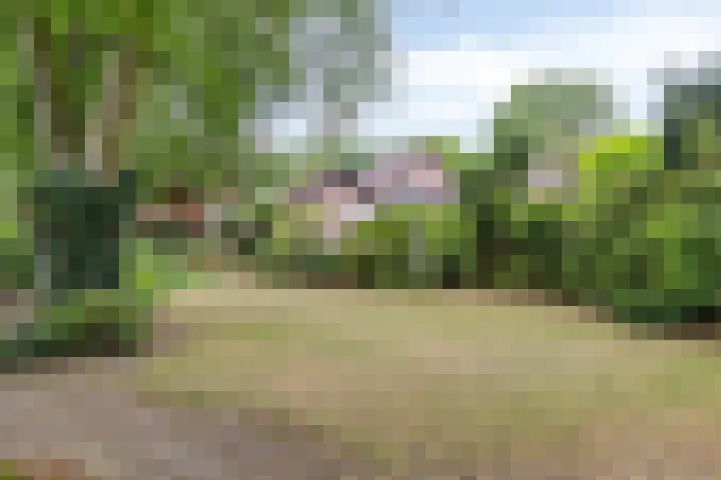 Pastoor Thijssenlaan 8 a Sterksel thumbnail 58