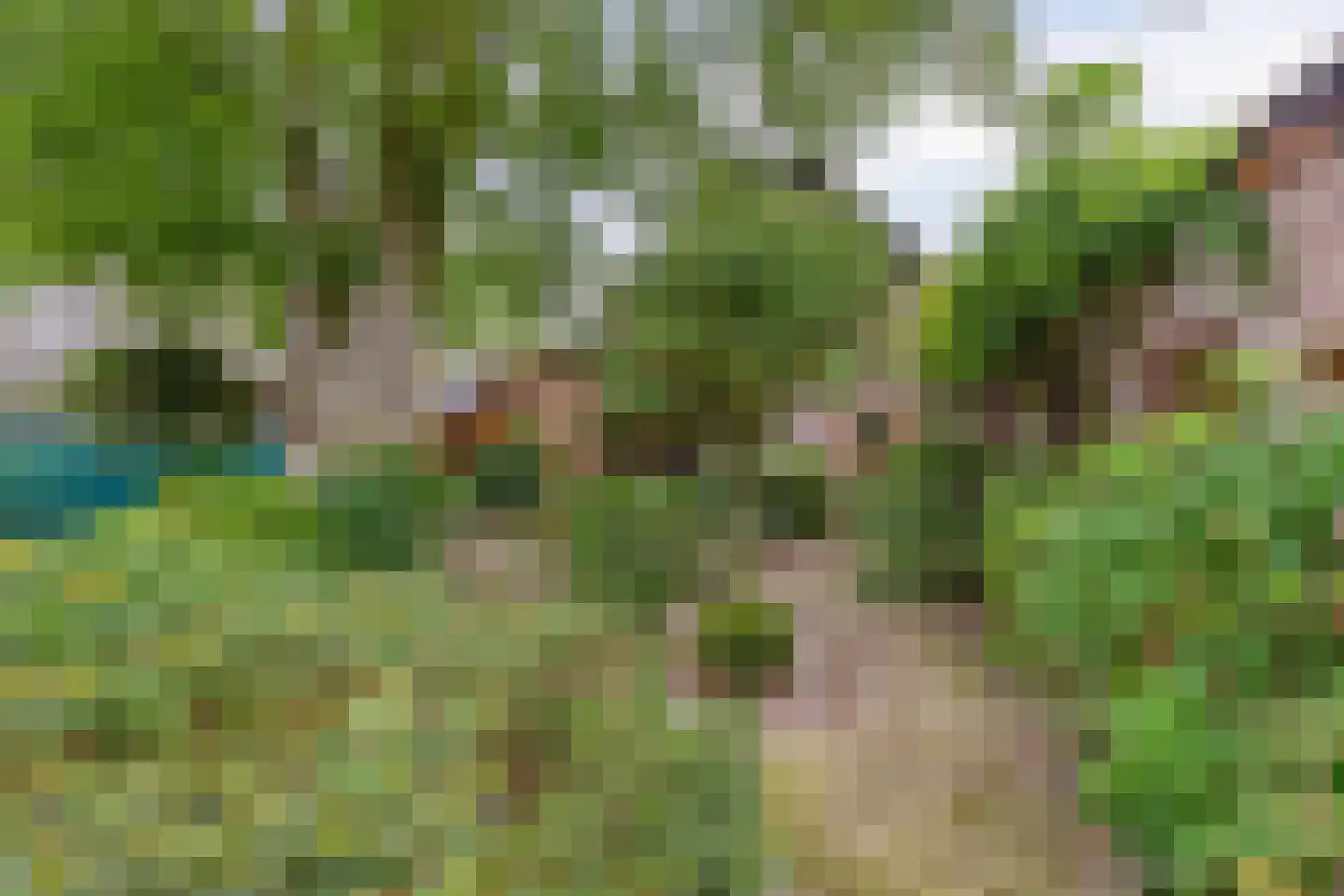 Pastoor Thijssenlaan 8 a Sterksel thumbnail 59