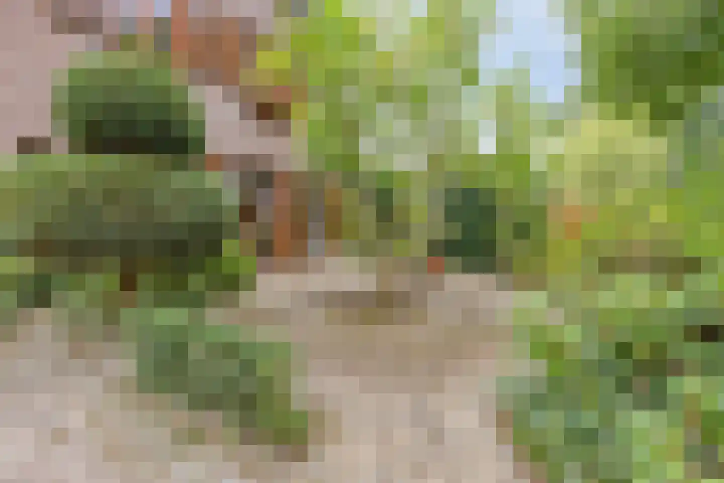 Pastoor Thijssenlaan 8 a Sterksel thumbnail 59