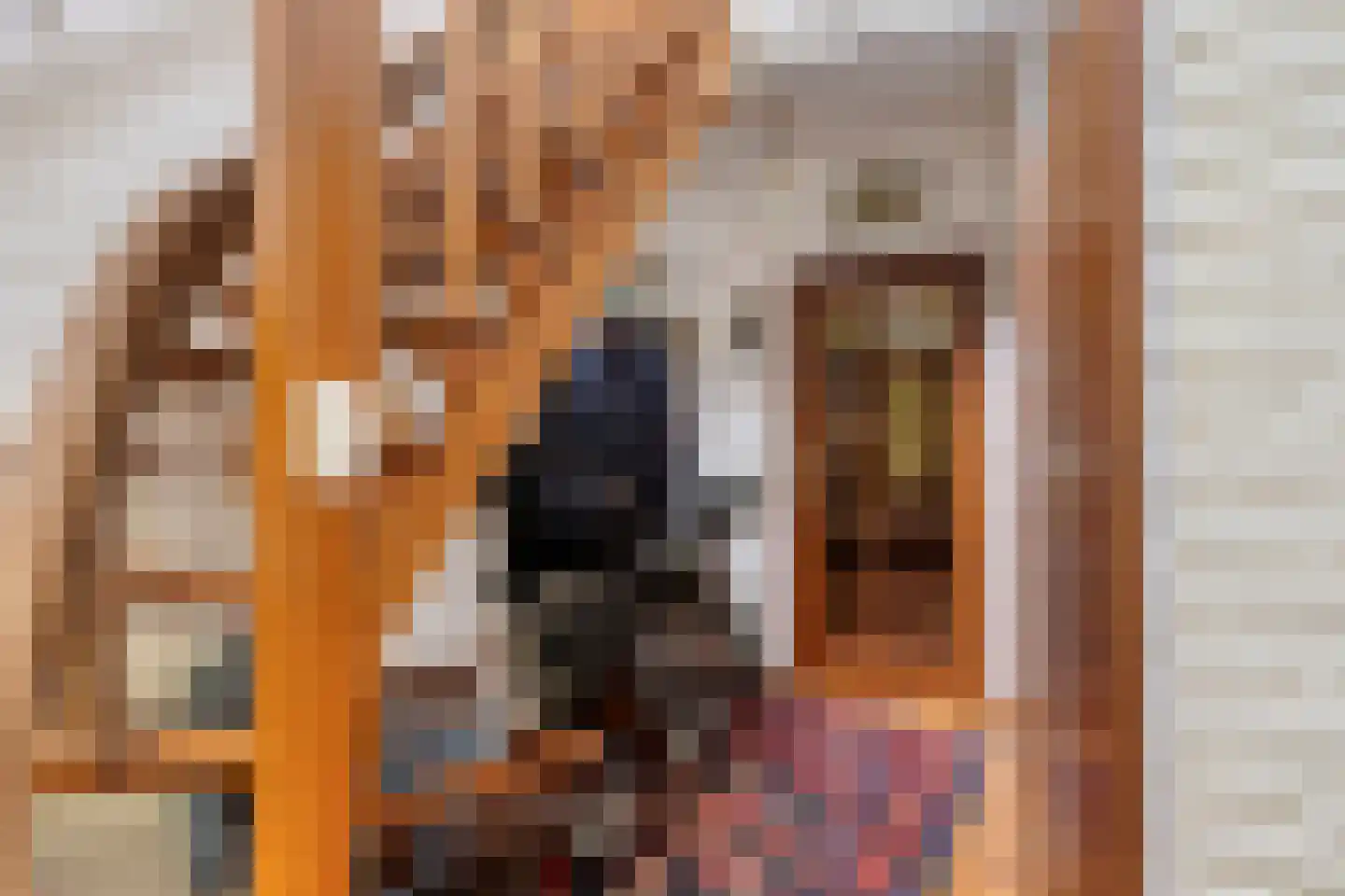Pastoor Thijssenlaan 8 a Sterksel thumbnail 6