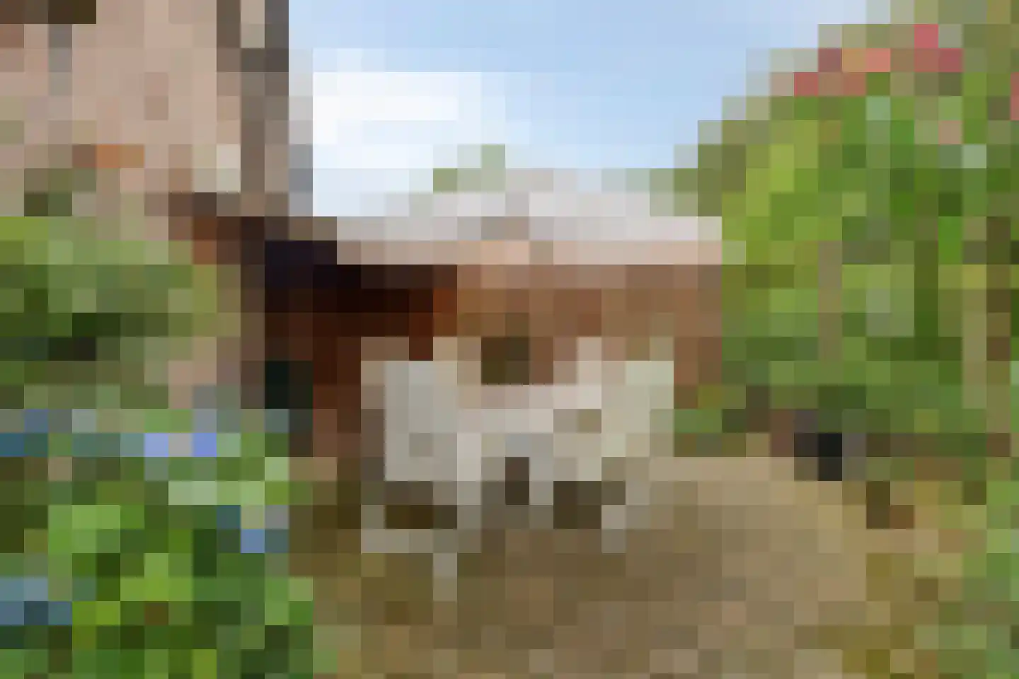 Pastoor Thijssenlaan 8 a Sterksel thumbnail 60