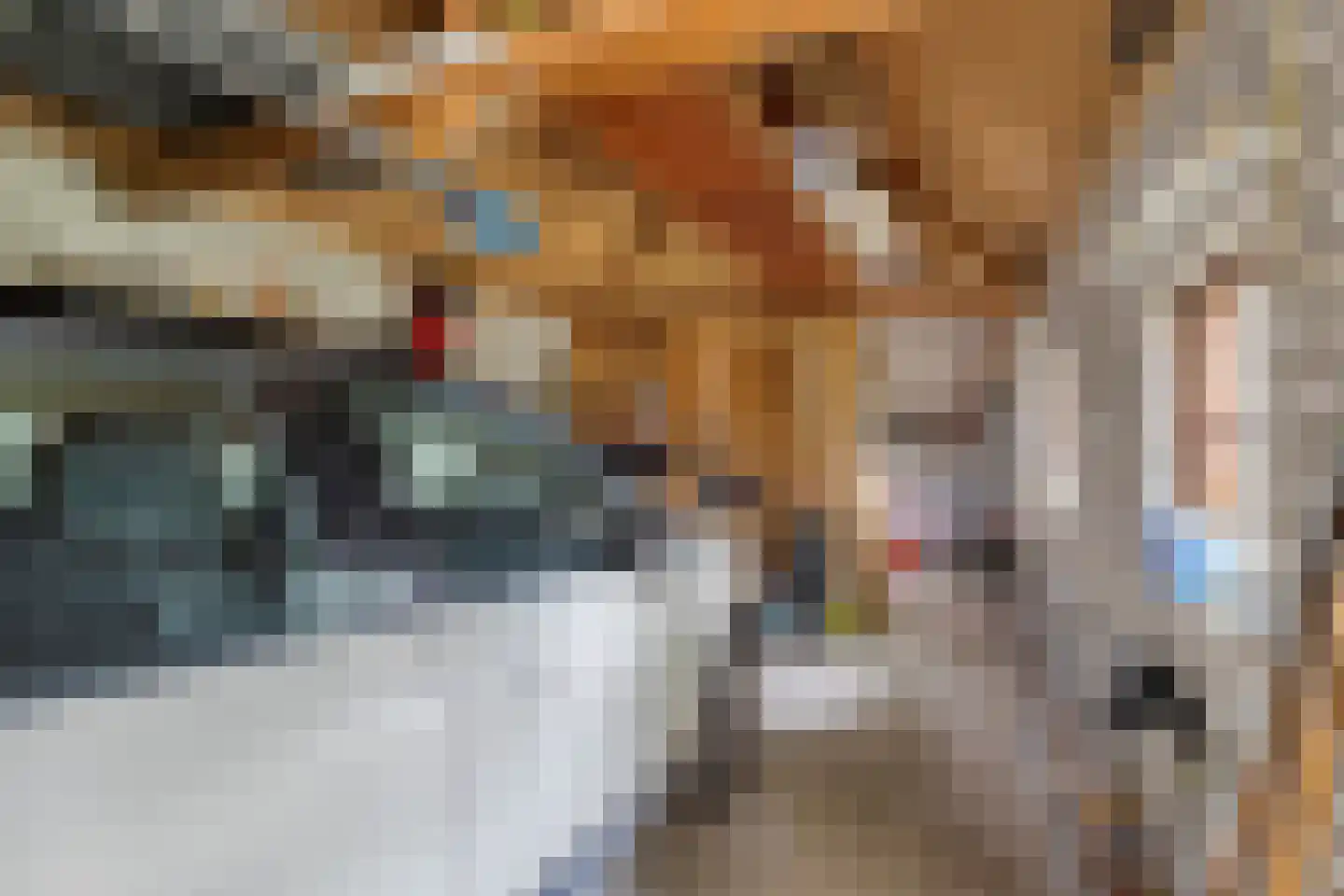 Pastoor Thijssenlaan 8 a Sterksel thumbnail 61