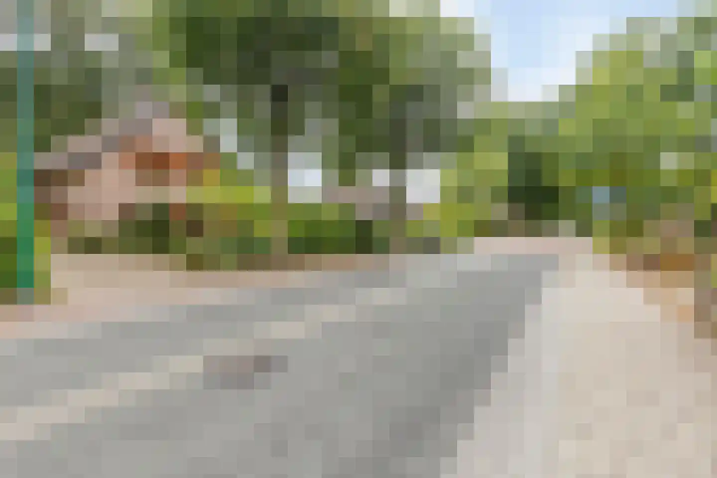 Pastoor Thijssenlaan 8 a Sterksel thumbnail 62