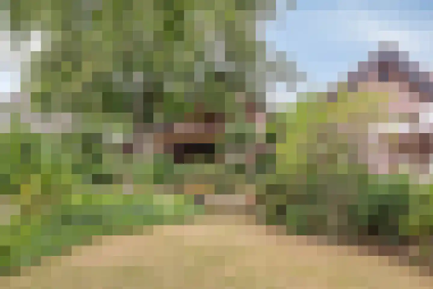 Pastoor Thijssenlaan 8 a Sterksel thumbnail 68