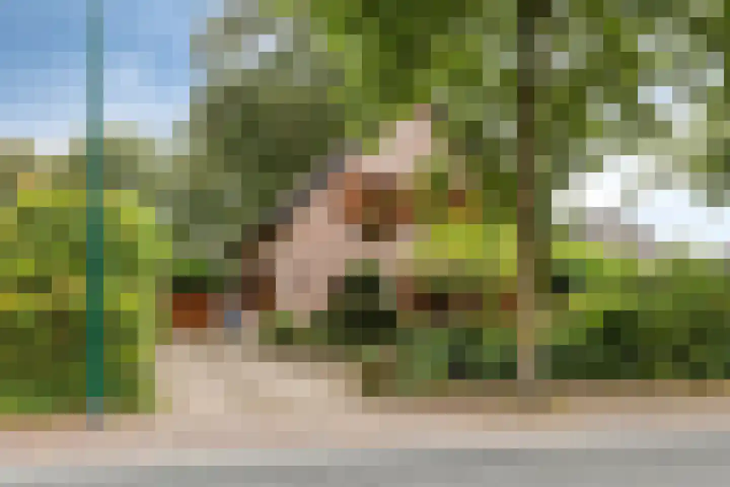Pastoor Thijssenlaan 8 a Sterksel thumbnail 7