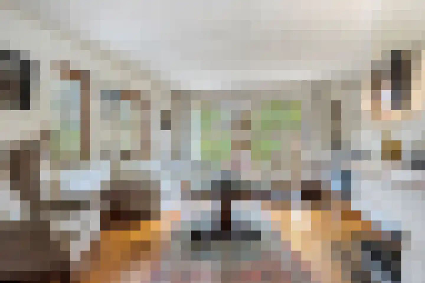 Pastoor Thijssenlaan 8 a Sterksel thumbnail 7