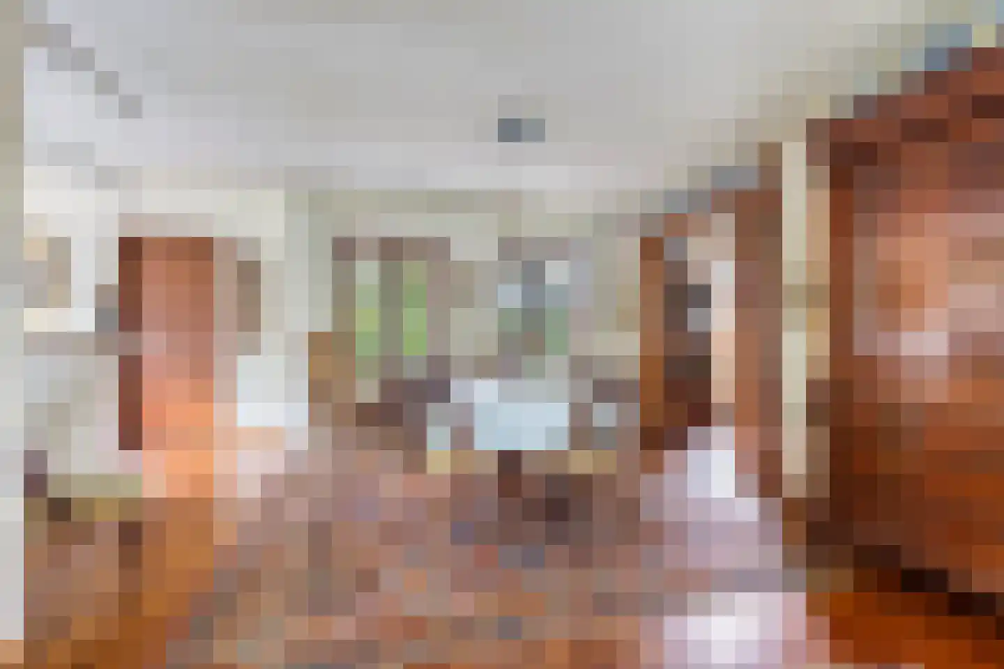Pastoor Thijssenlaan 8 a Sterksel thumbnail 8