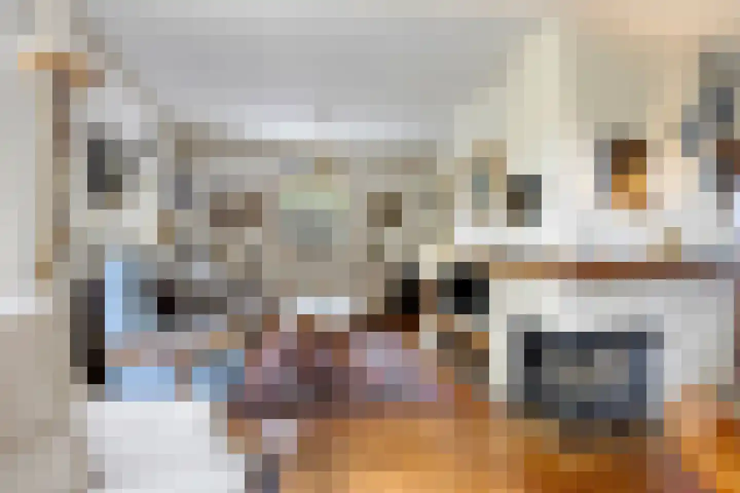 Pastoor Thijssenlaan 8 a Sterksel thumbnail 9