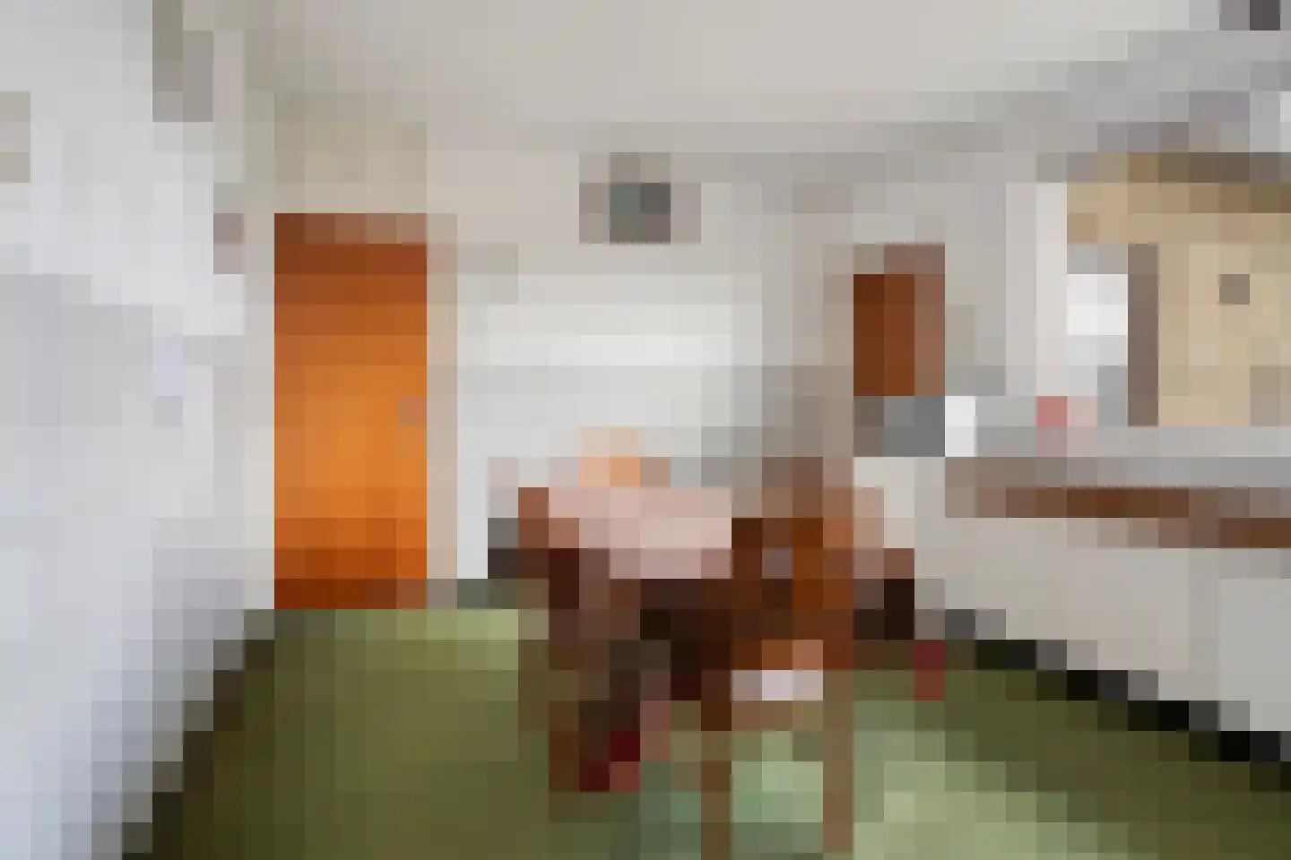 Pastoor Thijssenlaan 80 Sterksel thumbnail 10