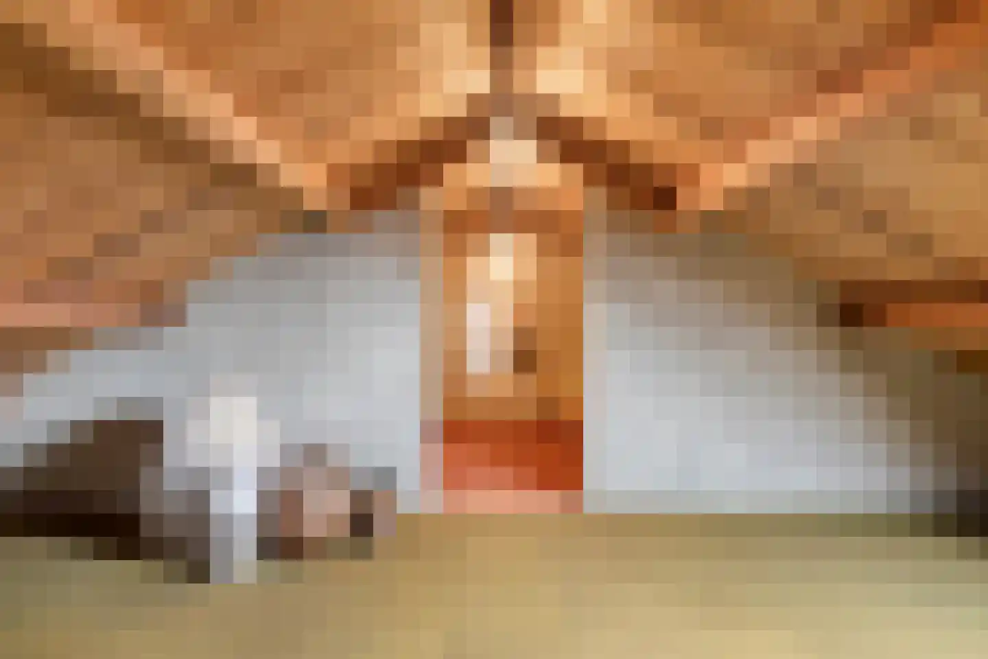 Pastoor Thijssenlaan 80 Sterksel thumbnail 19