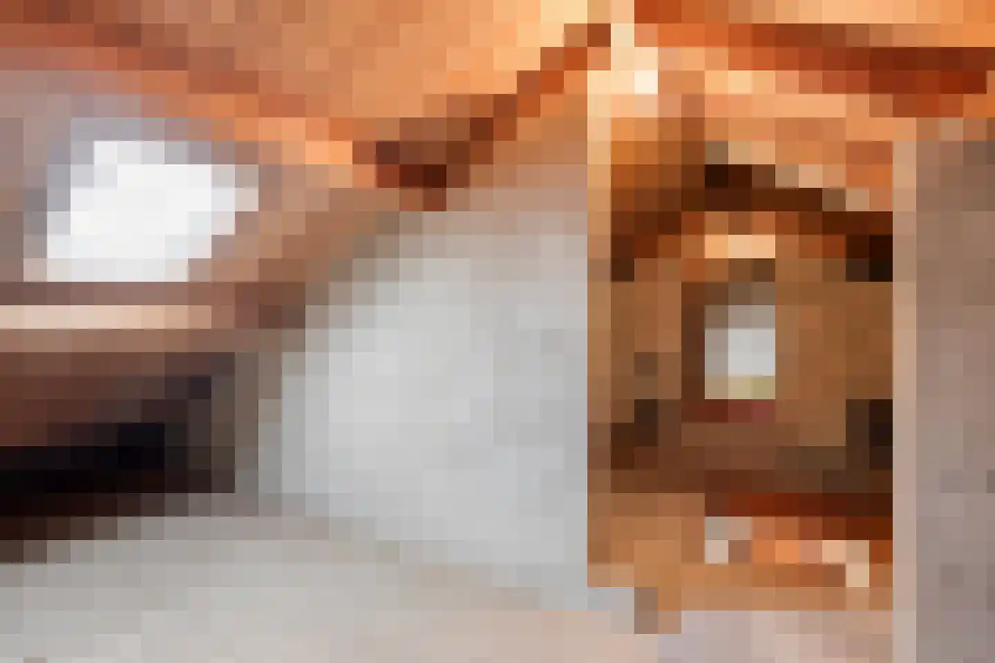 Pastoor Thijssenlaan 80 Sterksel thumbnail 20