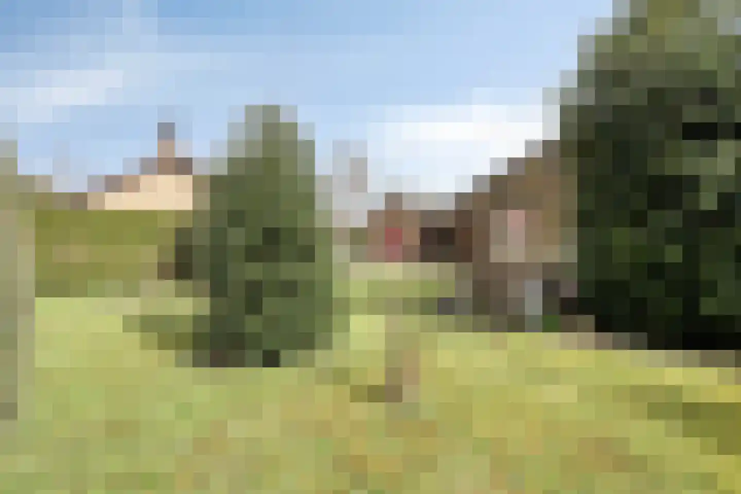 Pastoor Thijssenlaan 80 Sterksel thumbnail 21