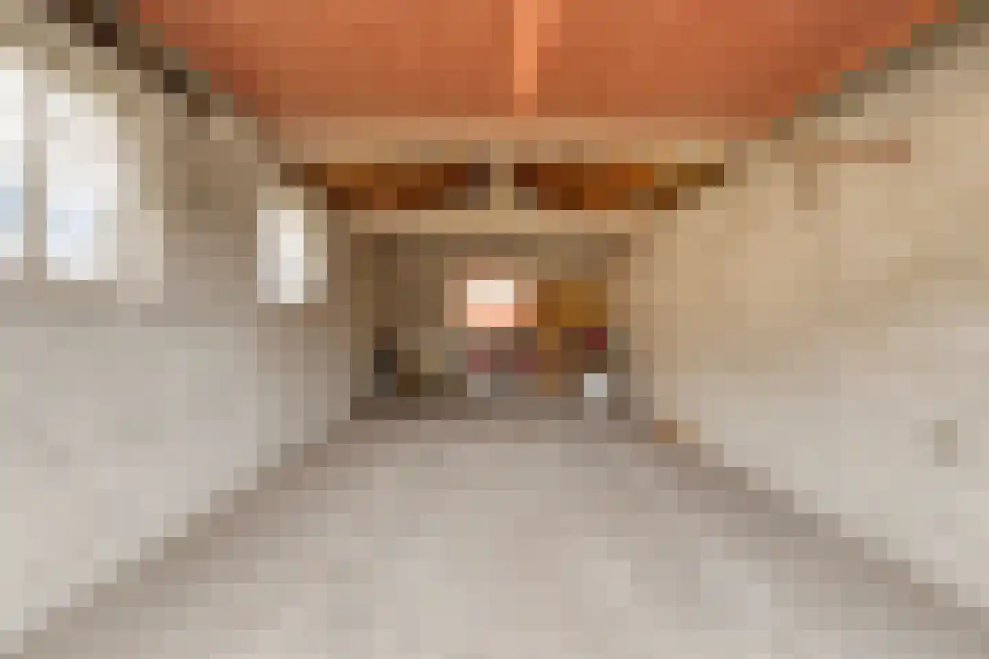 Pastoor Thijssenlaan 80 Sterksel thumbnail 22