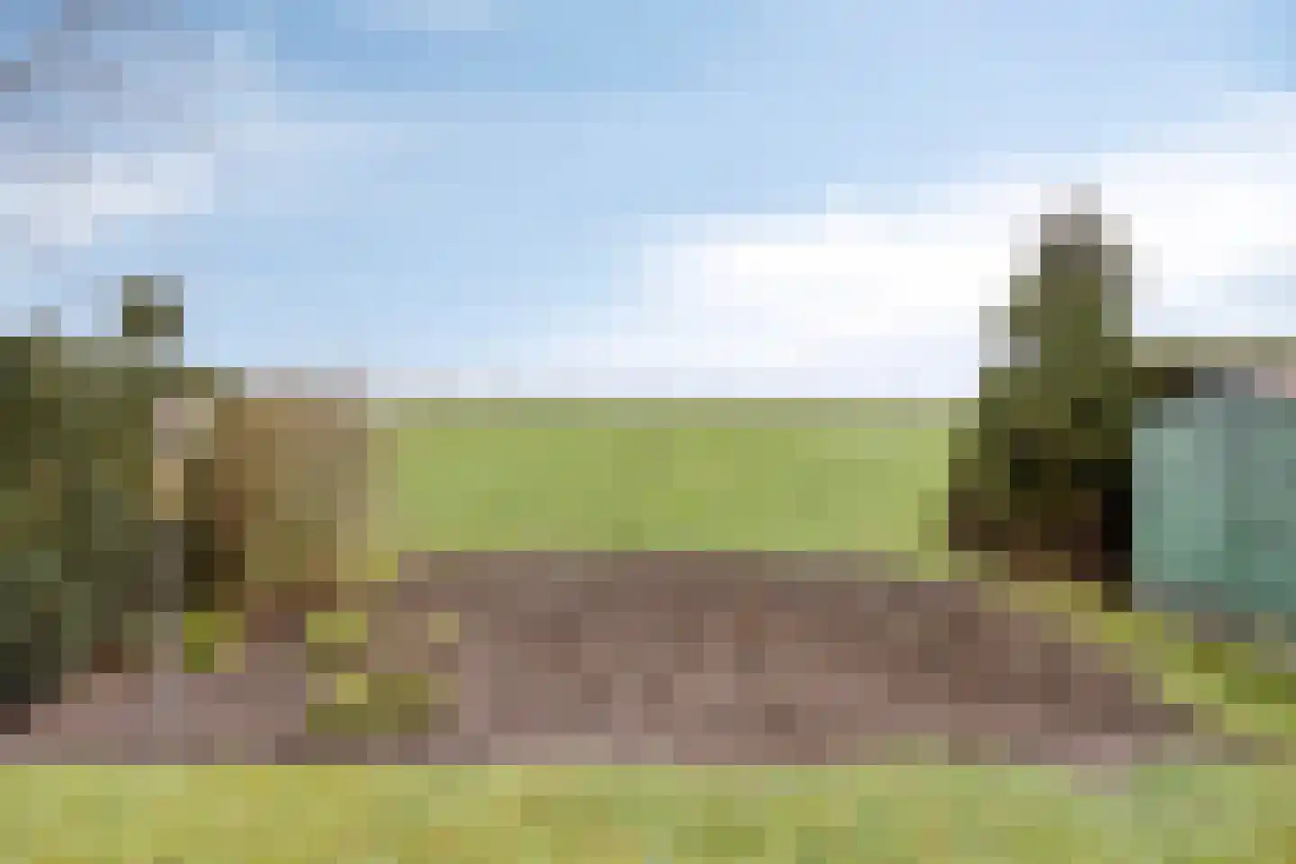 Pastoor Thijssenlaan 80 Sterksel thumbnail 27