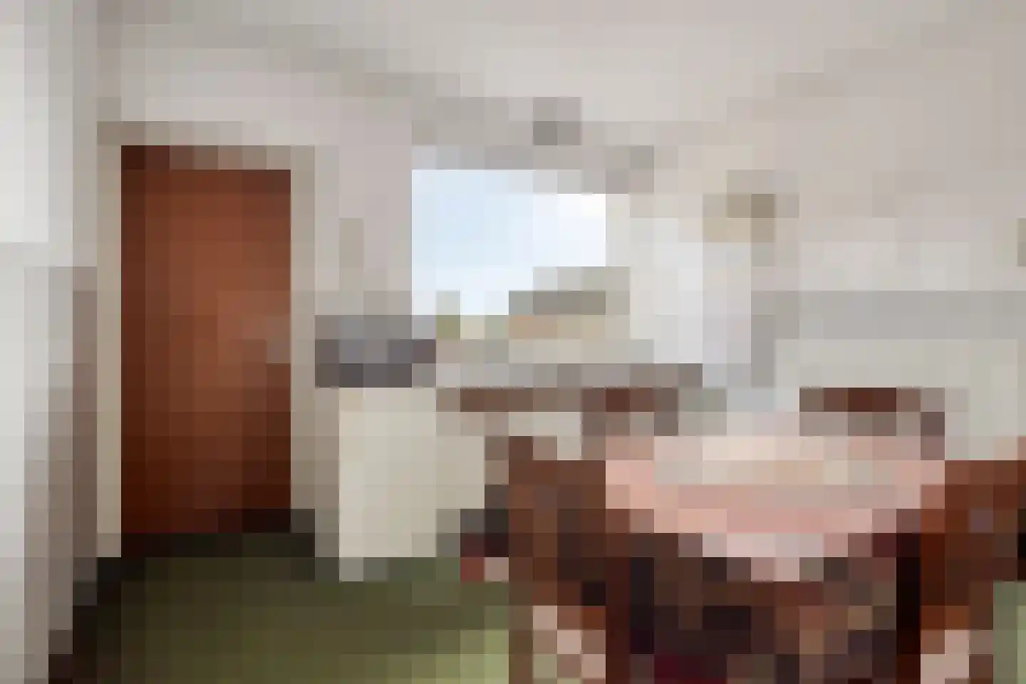 Pastoor Thijssenlaan 80 Sterksel thumbnail 9