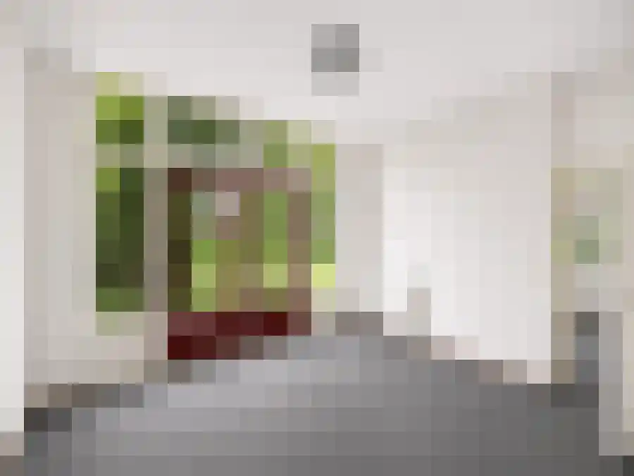 Pastoor Thuisstraat 6 Keijenborg thumbnail 6