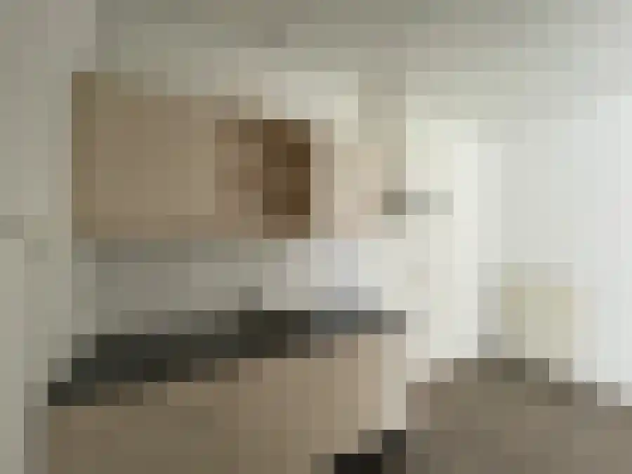 Pastoor Thuisstraat Keijenborg thumbnail 6