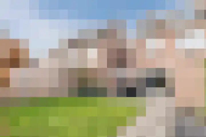 Pastoor v.d. Venstraat 24 Helmond thumbnail 31
