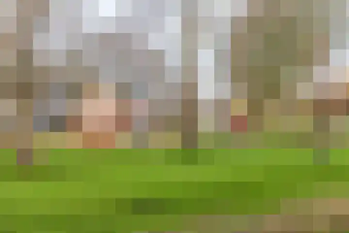 Pastoor v.d. Venstraat 24 Helmond thumbnail 35