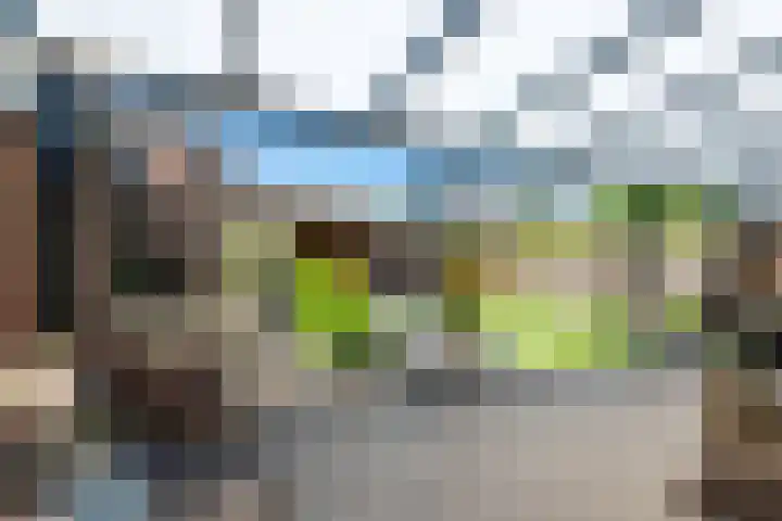Pastoor Vaessenstraat 1 Kerkrade thumbnail 18