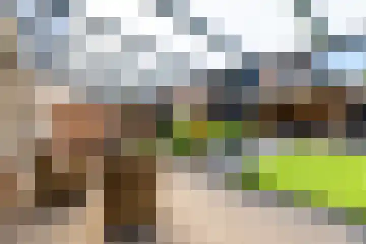 Pastoor Vaessenstraat 1 Kerkrade thumbnail 19