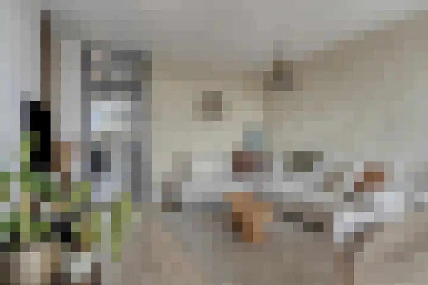 Pastoor van Akenstraat 104 Roosendaal thumbnail 19