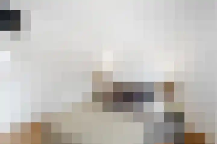 Pastoor van Akenstraat 2 Roosendaal thumbnail 11