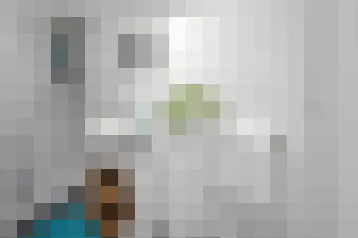 Pastoor van Akenstraat 2 Roosendaal thumbnail 14