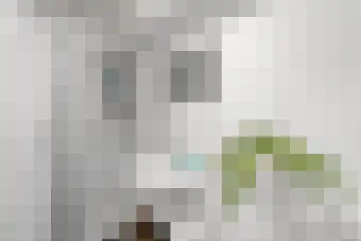 Pastoor van Akenstraat 2 Roosendaal thumbnail 15