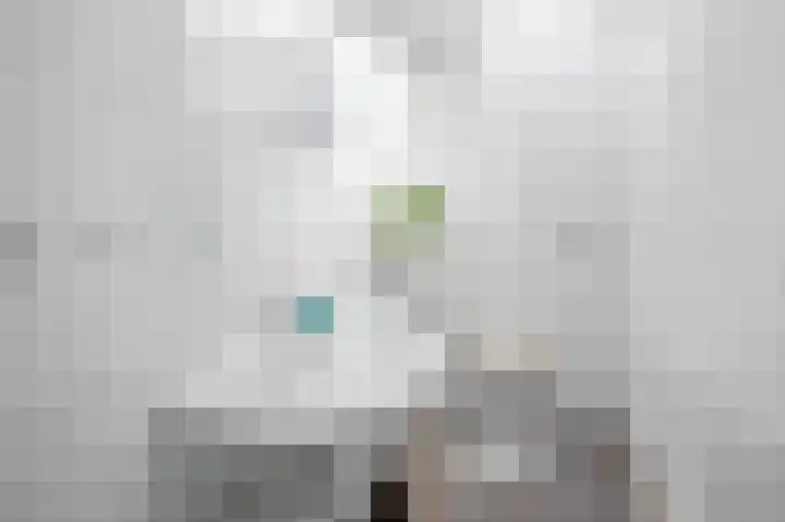 Pastoor van Akenstraat 2 Roosendaal thumbnail 16