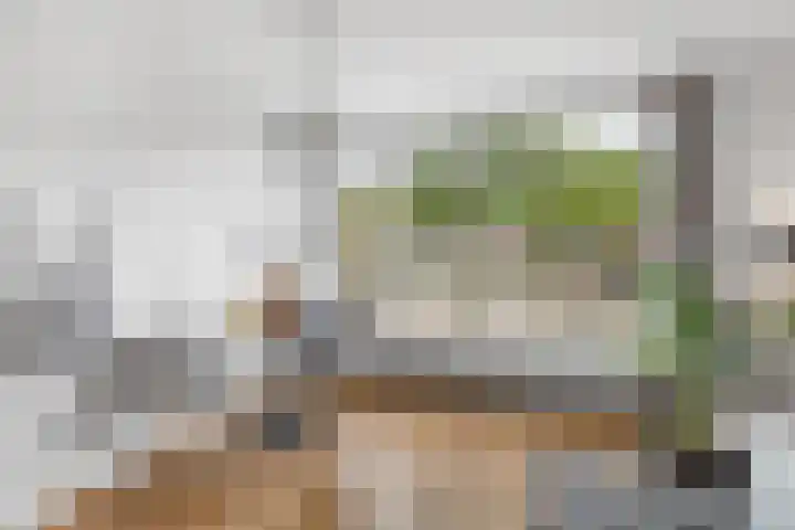 Pastoor van Akenstraat 2 Roosendaal thumbnail 4