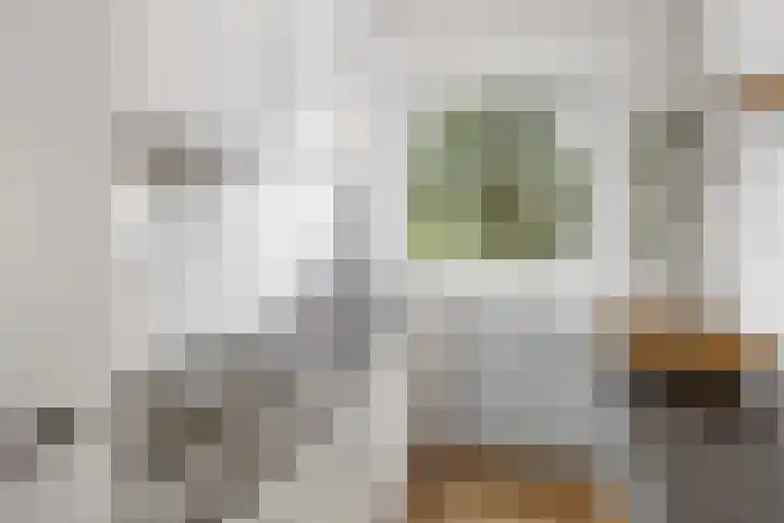 Pastoor van Akenstraat 2 Roosendaal thumbnail 7