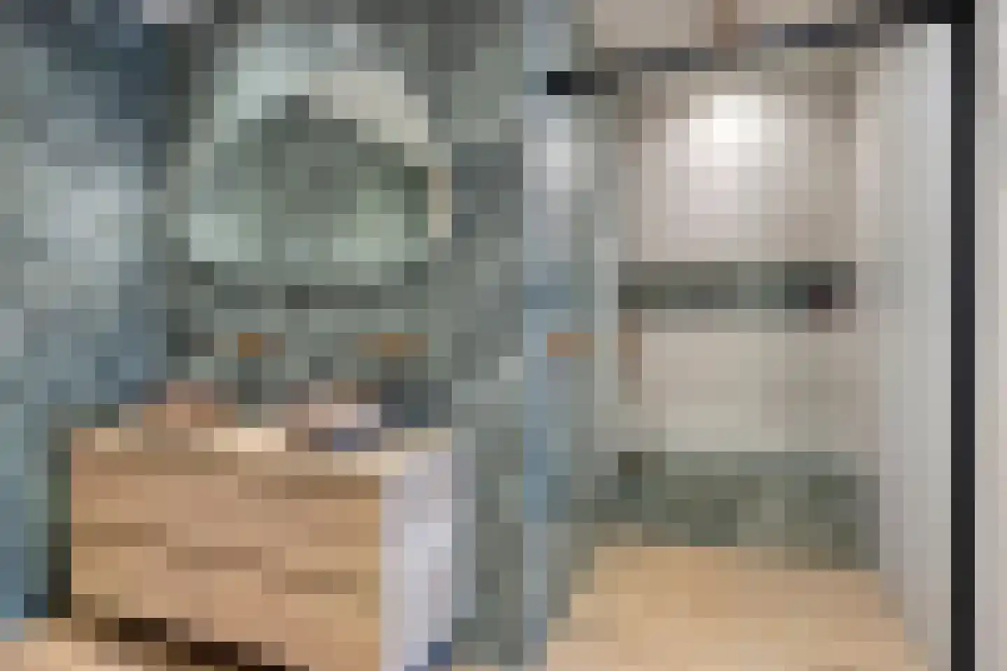 Pastoor van Akenstraat 24 Vlijmen thumbnail 28