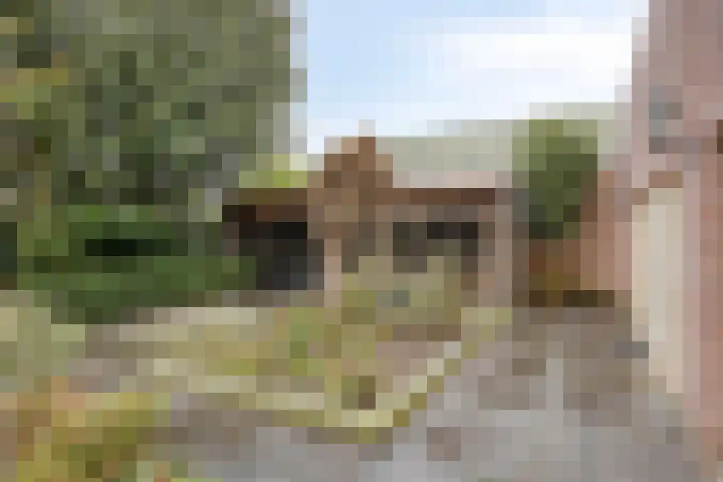 Pastoor van Akenstraat 24 Vlijmen thumbnail 4