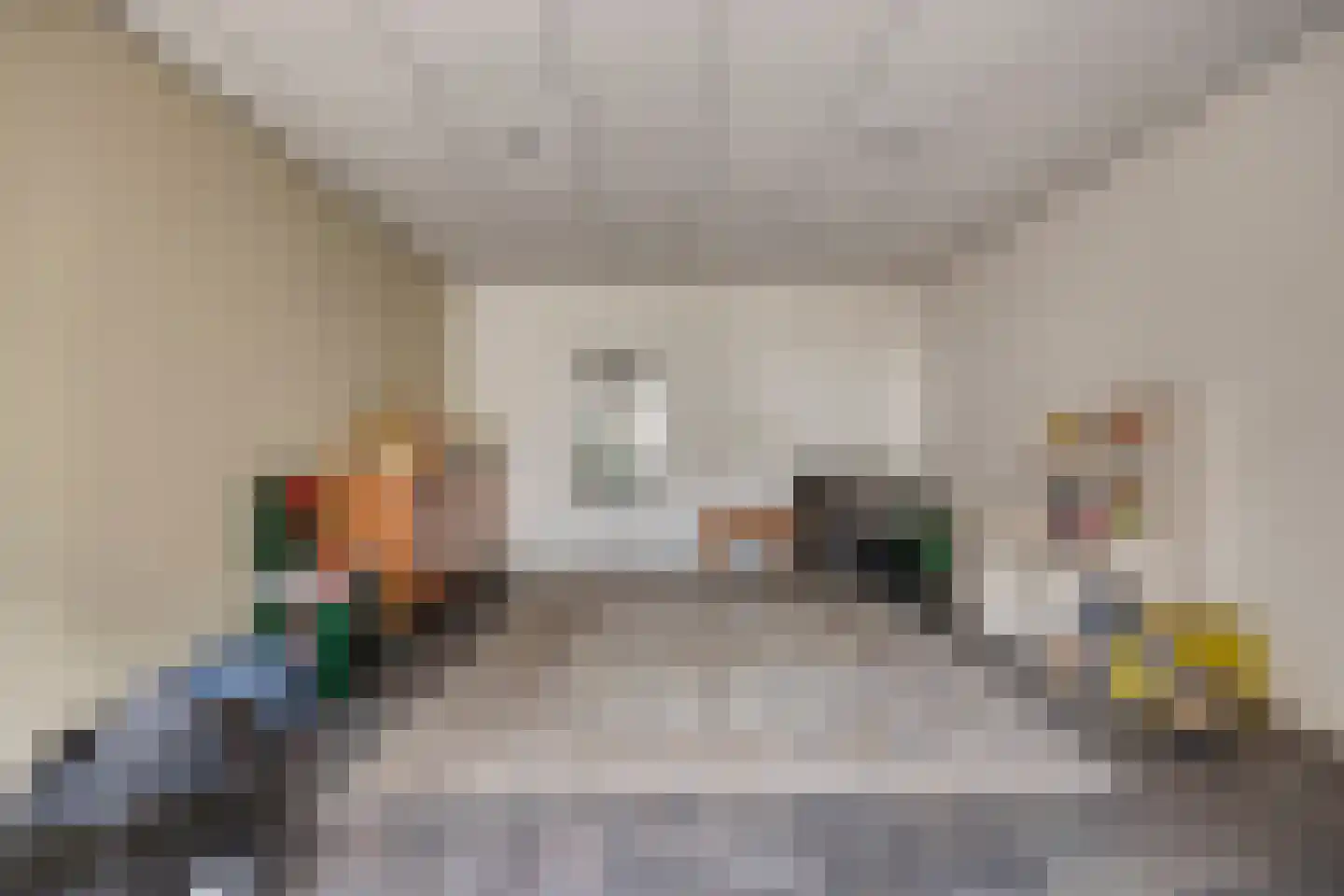 Pastoor van Akenstraat 24 Vlijmen thumbnail 40