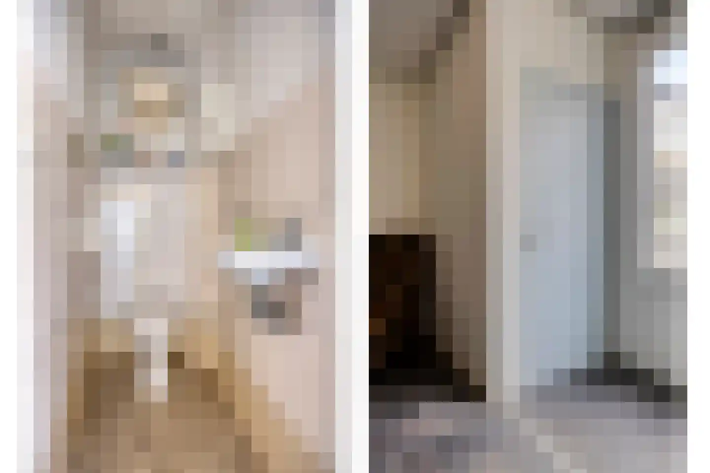 Pastoor van Akenstraat 24 Vlijmen thumbnail 42