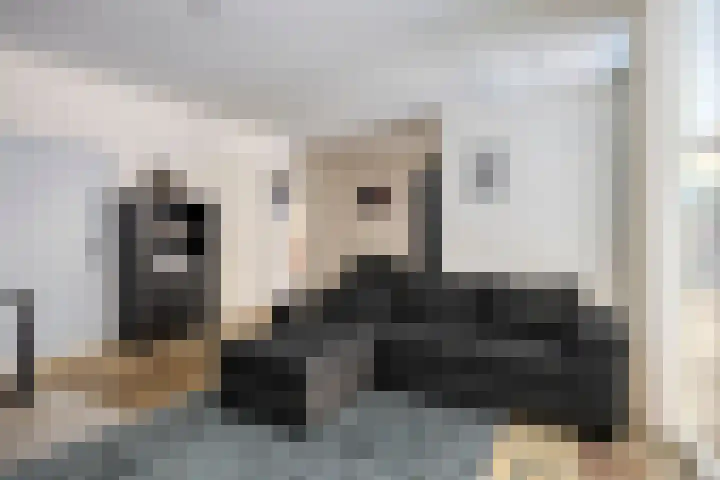 Pastoor van Akenstraat 24 Vlijmen thumbnail 45
