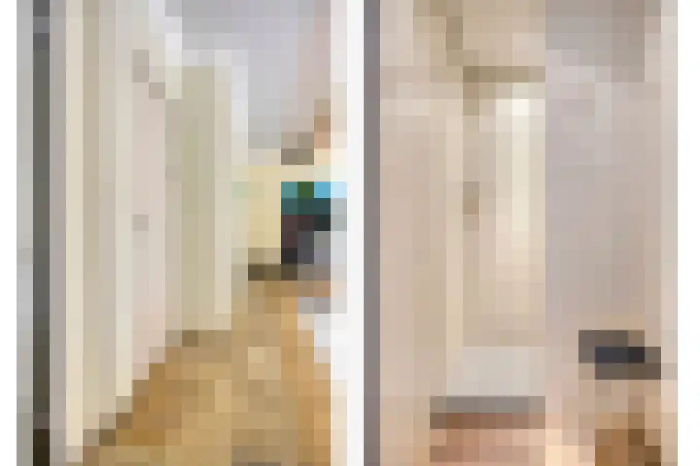 Pastoor van Akenstraat 24 Vlijmen thumbnail 51