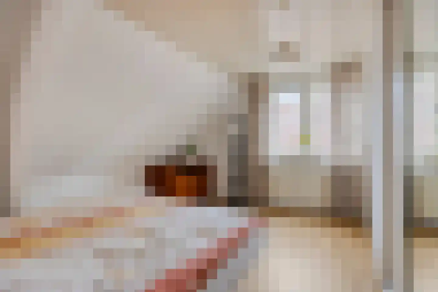 Pastoor van Akenstraat 24 Vlijmen thumbnail 59