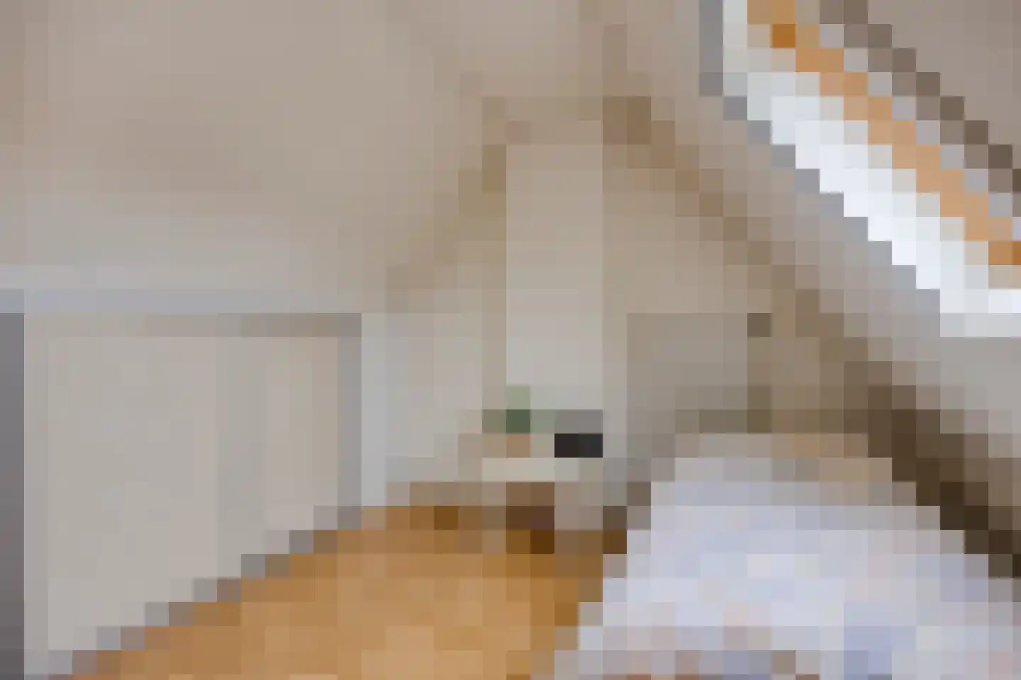 Pastoor van Akenstraat 24 Vlijmen thumbnail 63