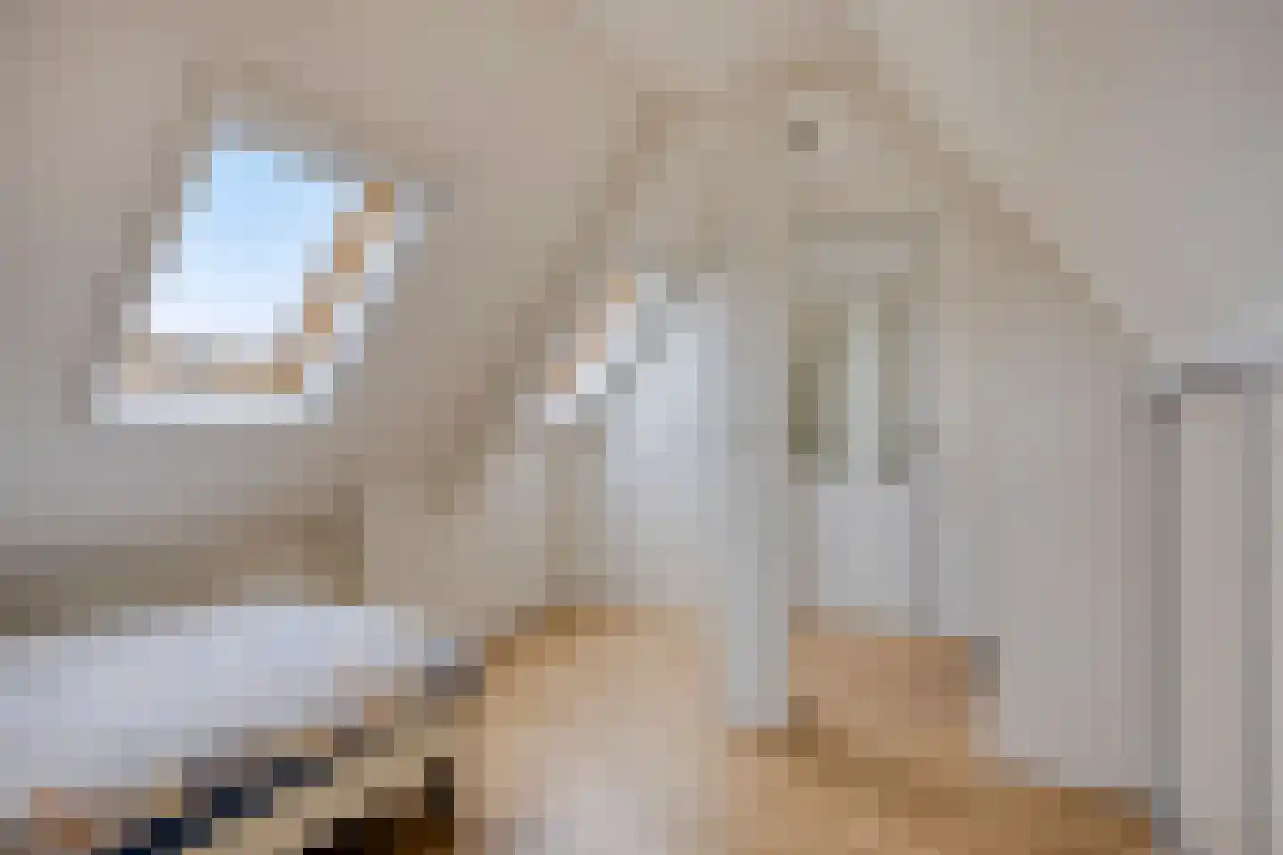 Pastoor van Akenstraat 24 Vlijmen thumbnail 64