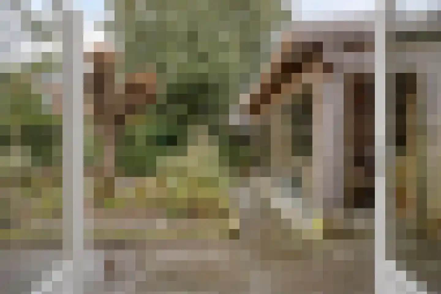 Pastoor van Akenstraat 24 Vlijmen thumbnail 66