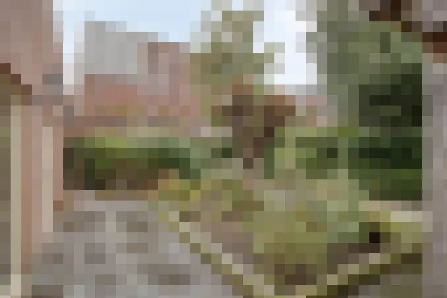Pastoor van Akenstraat 24 Vlijmen thumbnail 67