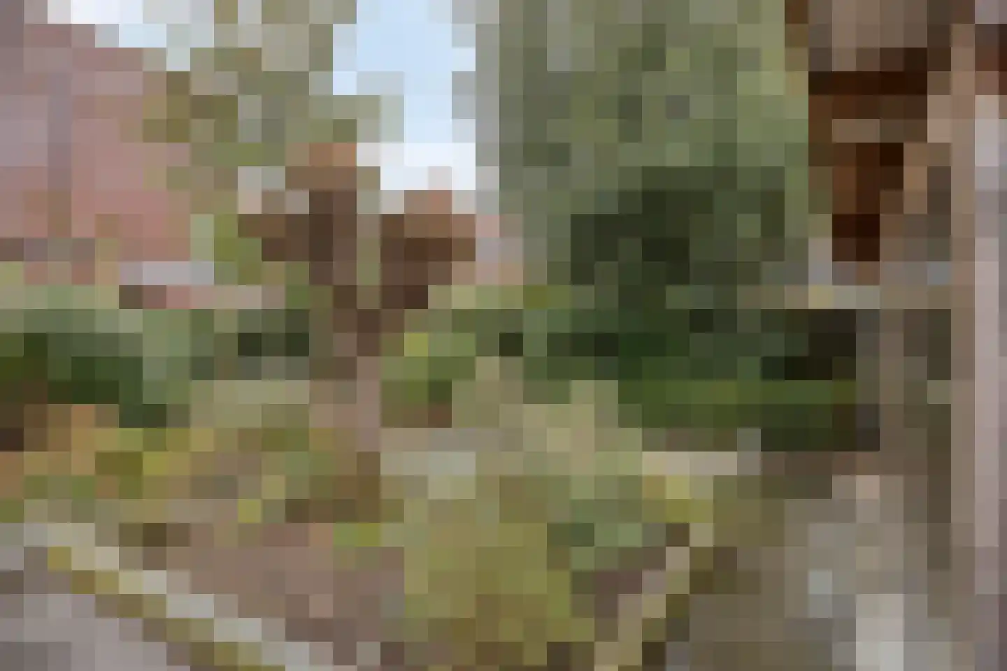 Pastoor van Akenstraat 24 Vlijmen thumbnail 68