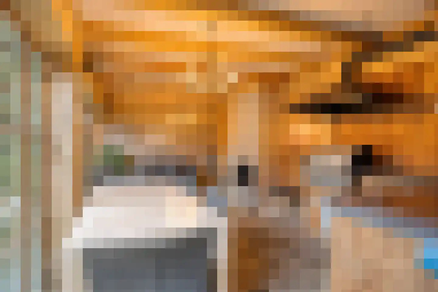 Pastoor van Akenstraat 24 Vlijmen thumbnail 72
