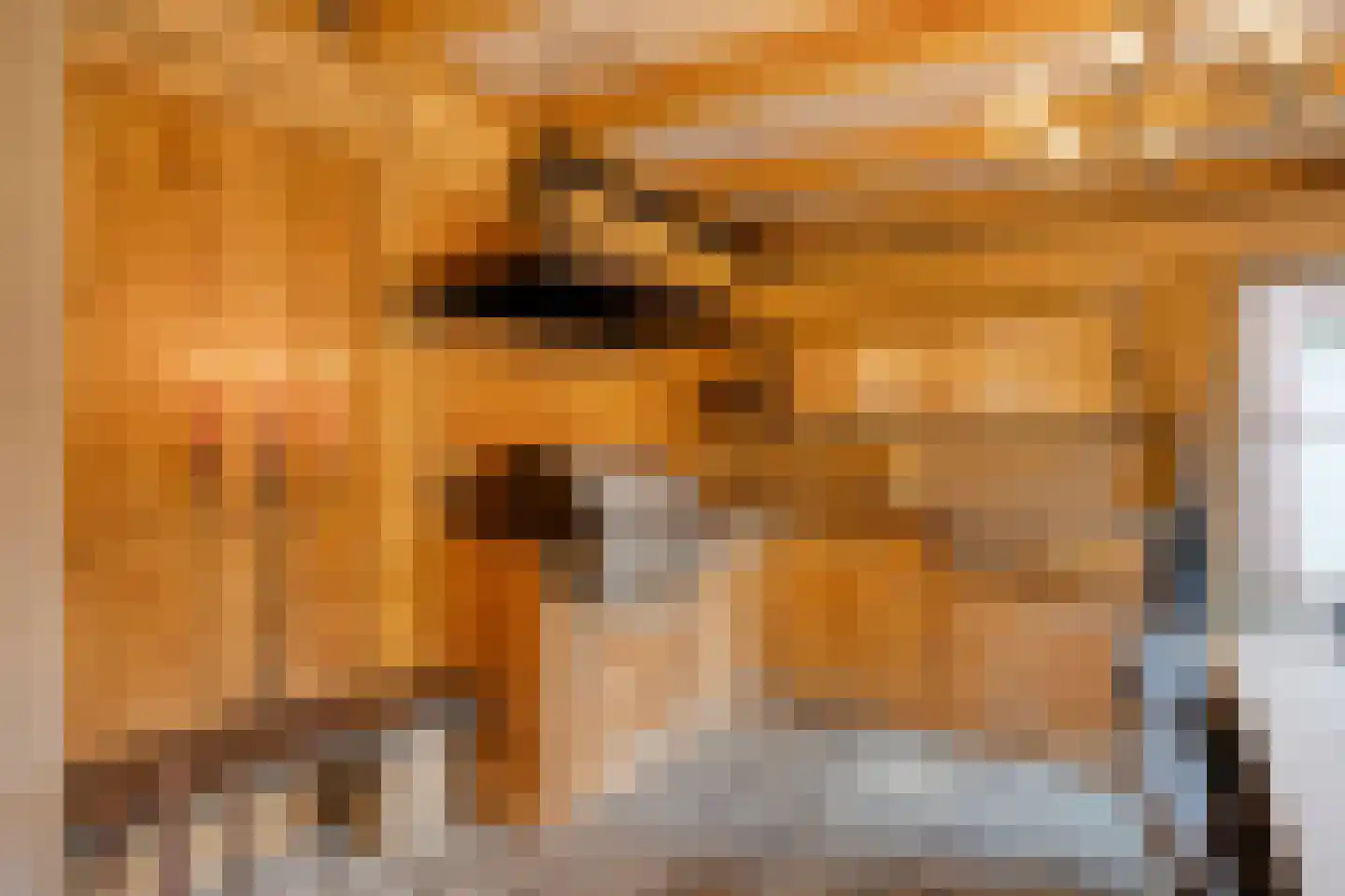 Pastoor van Akenstraat 24 Vlijmen thumbnail 74